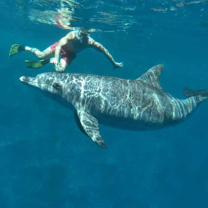 Novotel Marsa Alam underwater