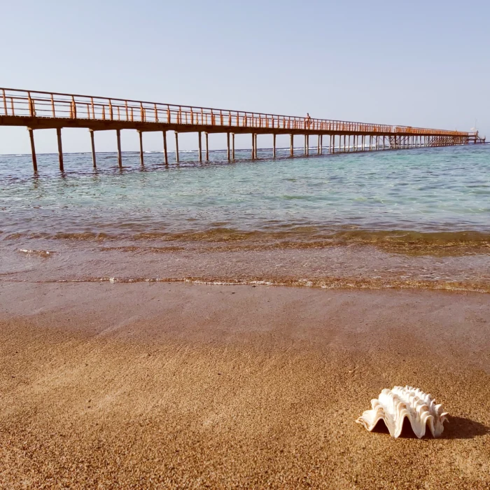 Lazuli Hotel Marsa Alam beach